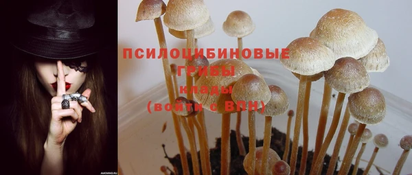 mix Богданович
