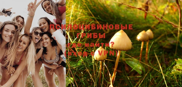 бошки Беломорск
