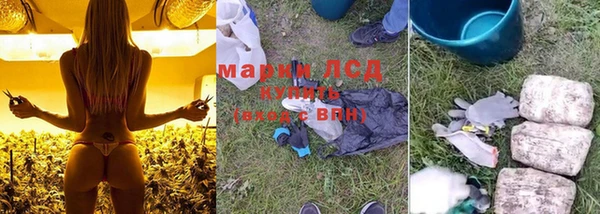 бошки Белокуриха
