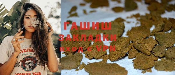 индика Бородино
