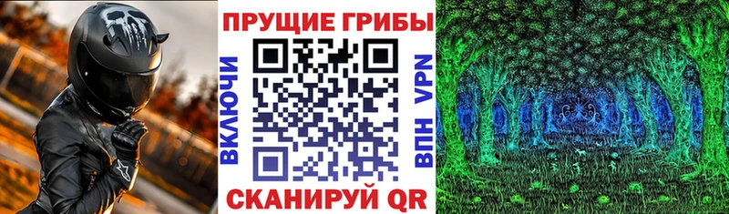 kraken сайт  Козьмодемьянск  Галлюциногенные грибы Psilocybe 